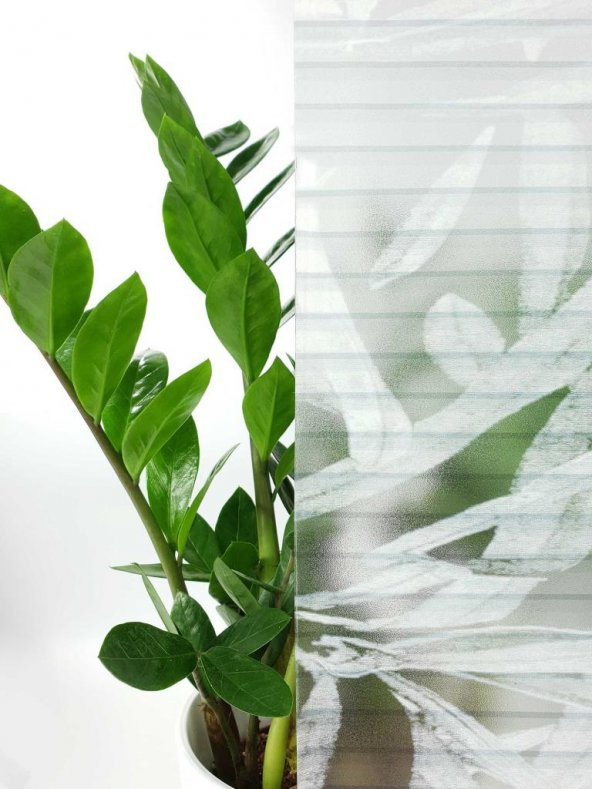 D-c-fix 334-0036 Dekoratif Statik Cam Folyo (45cm x 1mt) - 5