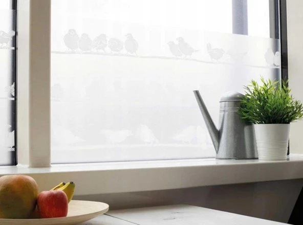 D-c-fix 334-0020 Kuş Görünümlü Statik Cam Folyo (45cm x 1mt) - Resim 10