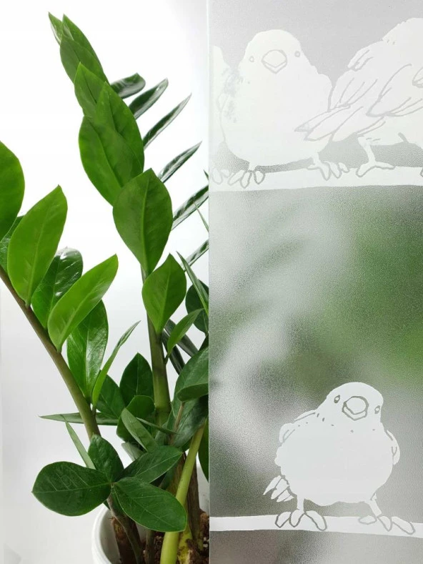 D-c-fix 334-0020 Kuş Görünümlü Statik Cam Folyo (45cm x 1mt) - Resim 2