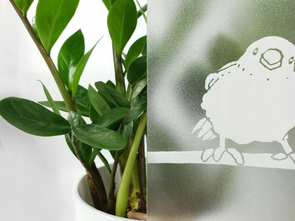 D-c-fix 334-0020 Kuş Görünümlü Statik Cam Folyo (45cm x 1mt) - Resim 3