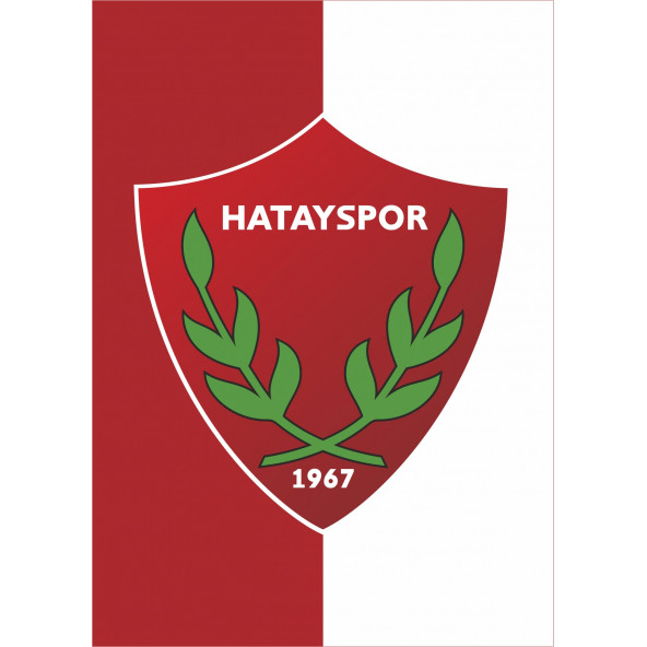 Hatayspor Arma Tablosu