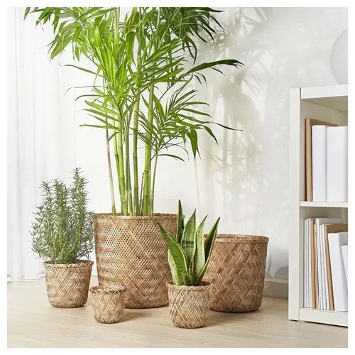 SUMUHOME KLYNNON DEKORATİF İÇ ORTAM BAMBU SAKSI 12 CM - 5