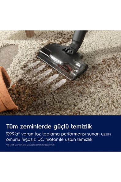 Electrolux EP82AB25UG 800 Serisi Animal Kablosuz Süpürge - 5