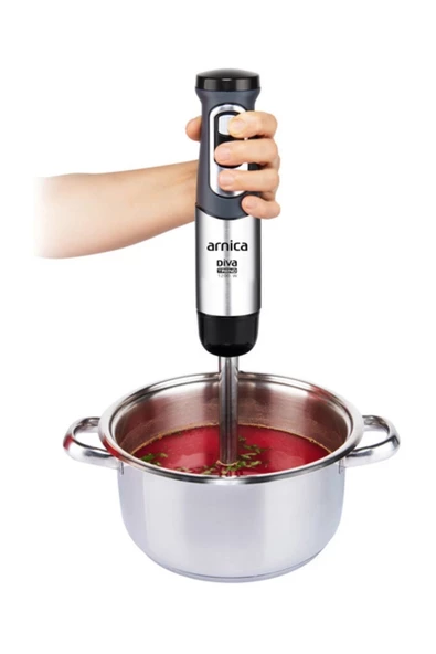 Arnica Diva Trend GH21592 El Blender Seti Gümüş - 4