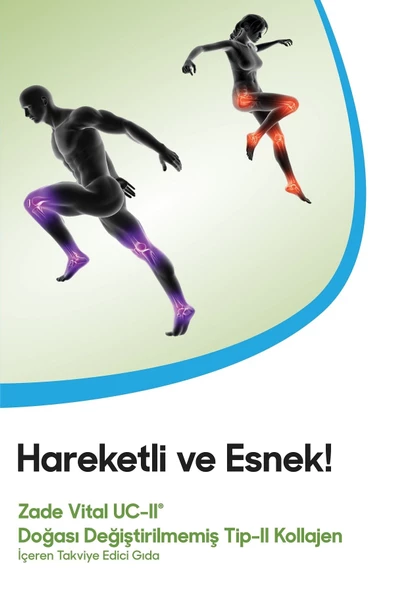 Zade Vital UC-II Tip-II Kolajen 30 Kapsül - 3