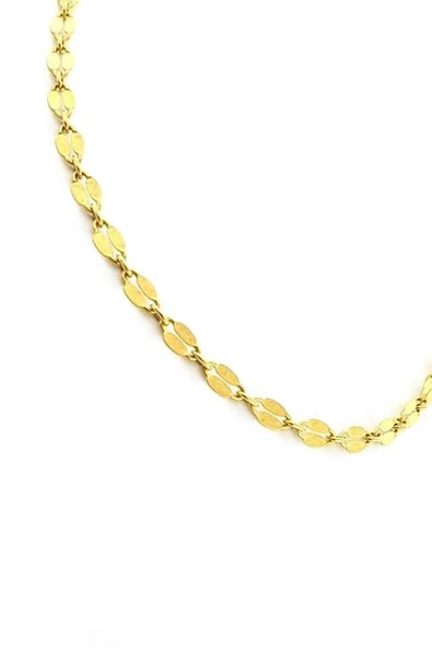 İtalyan Altın İşçiliğinde 925Ayar Gümüş Üzerine Altın Kaplama Pullu Zincir Kolye ürün görseli