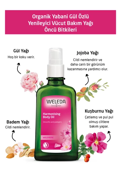 Weleda Organik Yabani Gül Özlü Yenileyici Vücut Bakım Yağı 100ml - 4