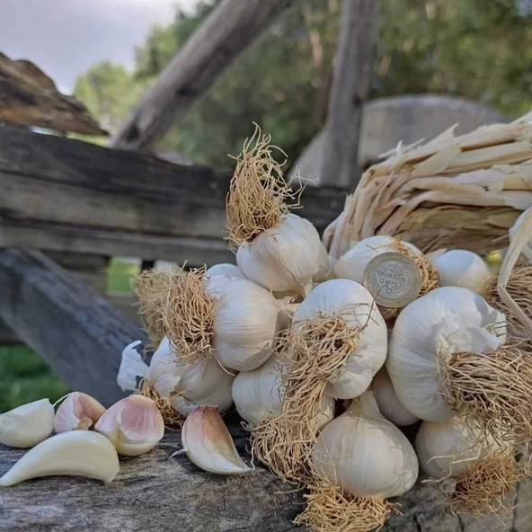 İksirli Çiftlik Taşköprü Sarımsağı 1000 g, 2024 Mahsülü