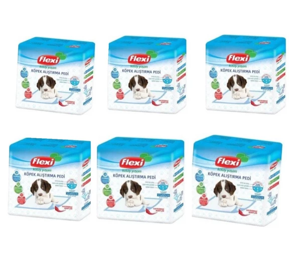 Flexi Kaydırmaz Bantlı Çiş Pedi 55x60 Cm 10 x 6 Adet