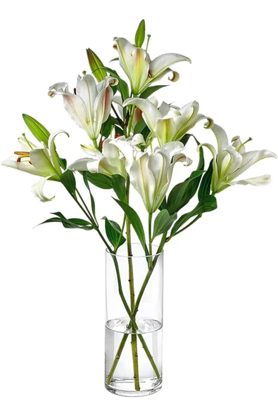 4 Lü Cam Vazo Seti Mumluk Seti 3 Adet Küçük Boy 1 Adet Büyük - 4