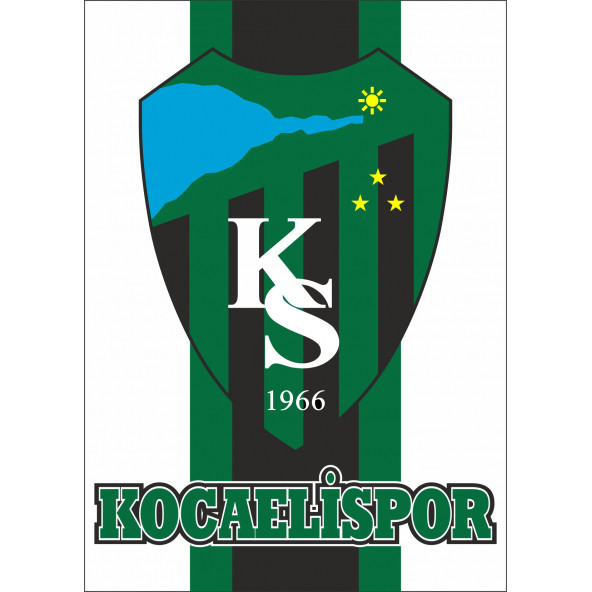 Kocaelispor Arma Tablosu