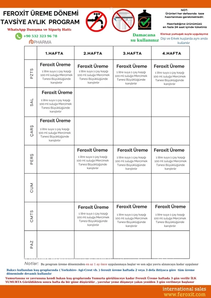 FEROXİT GÜVERCİNLER ' DE Kızıştırıcı '' YUMURTA VE SPERM ARTTIRICI - 3