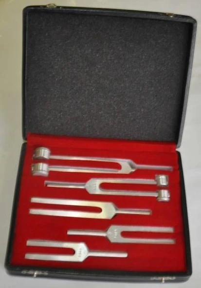 Medikaltec Mesitas Dyapazon Set 5'li