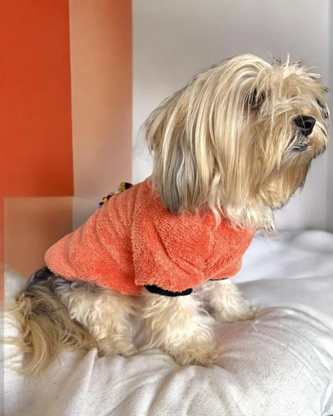 Turuncu İkizler Kapşonlu Sweat by Kemique Köpek Kazağı