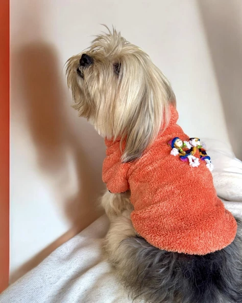 Turuncu İkizler Kapşonlu Sweat by Kemique Köpek Kazağı - 2