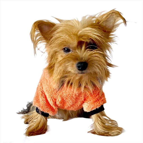 Turuncu İkizler Kapşonlu Sweat by Kemique Köpek Kazağı - 8