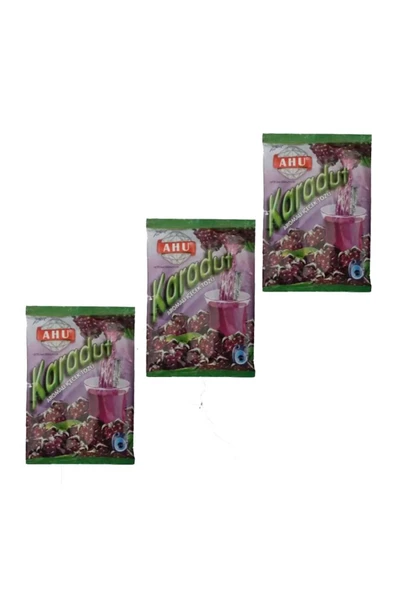 Karadut Aromalı İçecek Tozu 250 Gr. x 3 Adet