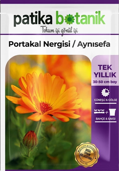 30 Adet Portakal Nergisi - Aynı Sefa Çiçek Tohumu - 2