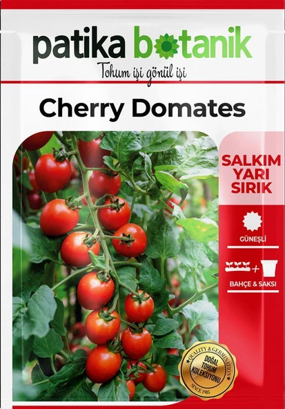 100 Adet Cherry Tipi Pinpon Domates Tohumu - Resim 2