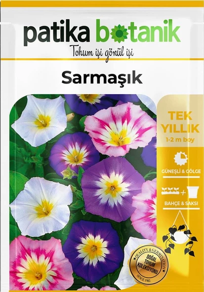 100 Adet Sarmaşık (convolvulus) Çiçek Tohumu - Resim 2