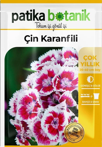 100 Adet Çin Karanfili (Dianthus Chinensis) Çiçek Tohumu - 2