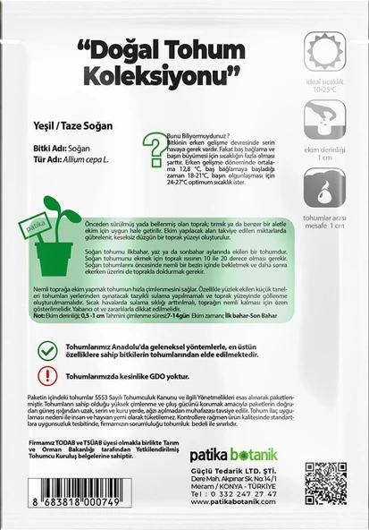 500 Adet Yeşil Soğan Tohumu - Resim 3