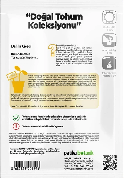 30 Adet Dahlia (Yıldız) Çiçek Tohumu - 3