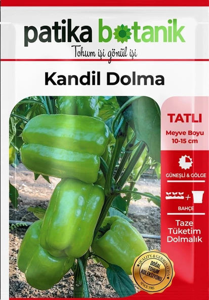 200 Adet Kandil Dolma Biber Tohumu - Resim 2
