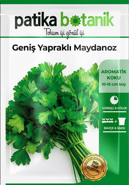 5000 Adet Patika Botanik Geniş Yapraklı Maydonoz Tohumu - 2