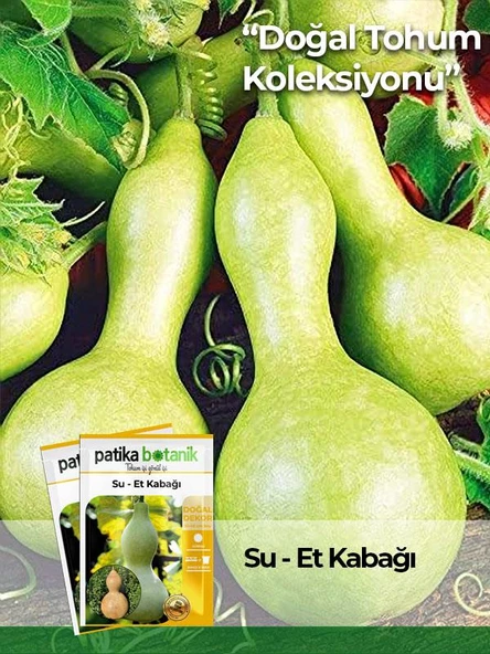5 Adet Su - Et Kabağı (lagenaria Siceraria) Tohumu ürün görseli