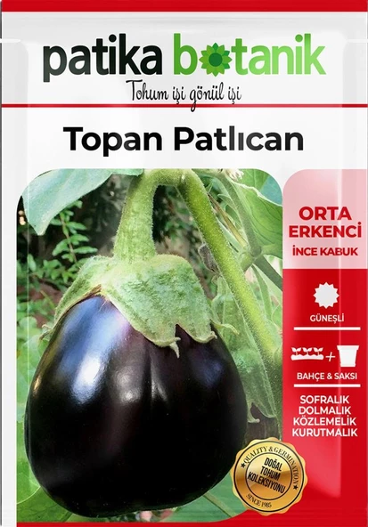 200 Adet Topan Patlıcan Tohumu - Resim 2