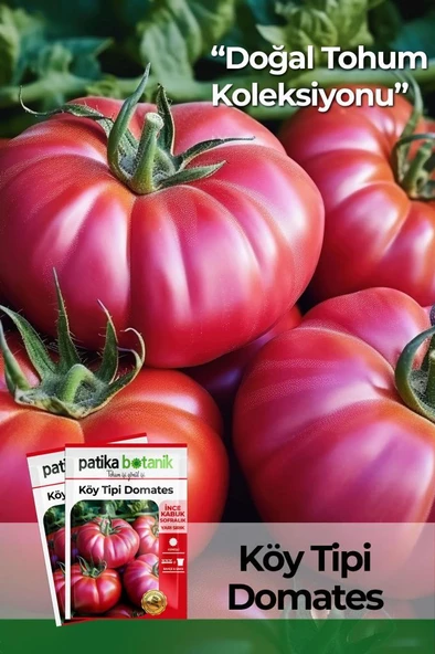 250 Adet Yerli Köy Tipi Domates Tohumu ürün görseli