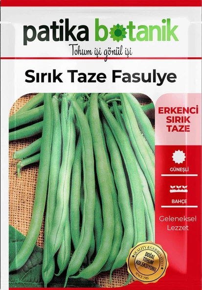 50 Adet Sırık Fasulye Tohumu (Mine) GCL165 - Resim 2