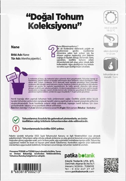 100 Adet Nane (Mentha) Çiçek Tohumu - Resim 3