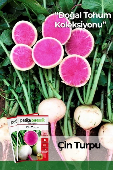 500 Adet Çin Turp Tohumu ürün görseli
