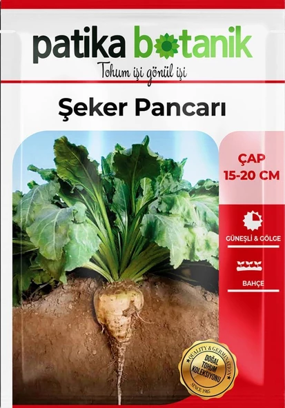 150 Adet Şeker Pancarı Tohumu - Resim 2