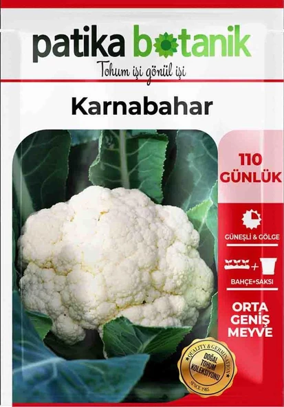 200 Adet Karnabahar Tohumu - Resim 2