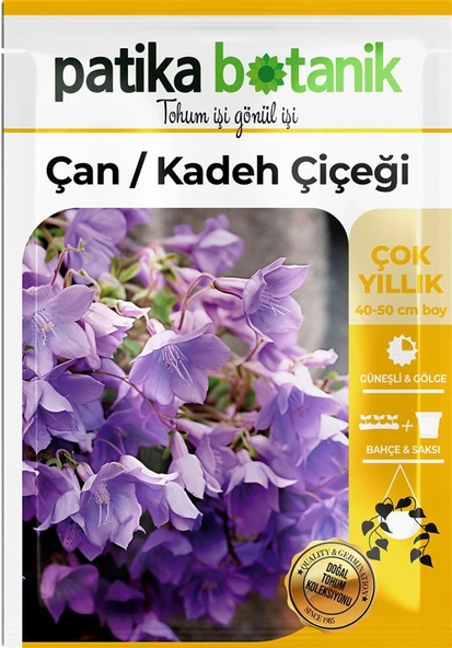 100 Adet Çan Kadeh (Campanula L.) Çiçek Tohumu - 2
