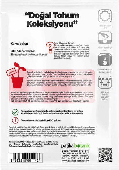 200 Adet Karnabahar Tohumu - Resim 3