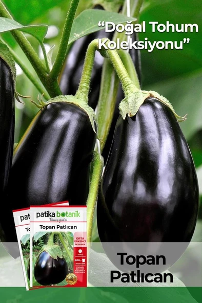 200 Adet Topan Patlıcan Tohumu ürün görseli