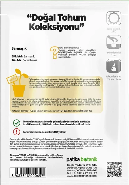 100 Adet Sarmaşık-gündüz Safası Tohumu - Resim 3