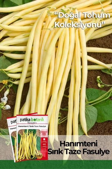 50 Adet Hanımteni (Turşuluk) Sırık Fasulye Tohumu ürün görseli
