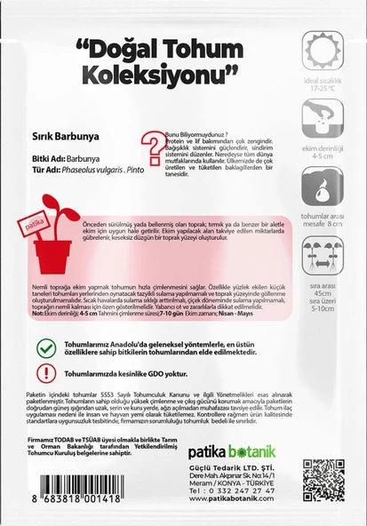 50 Adet Sırık Barbunya Tohumu (Selim) - Resim 3
