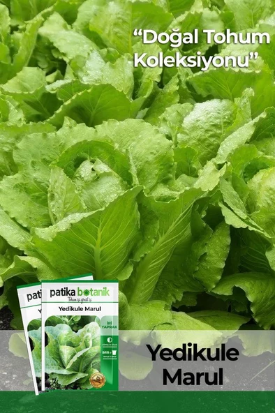 Marul Tohumu (yedikule) ürün görseli
