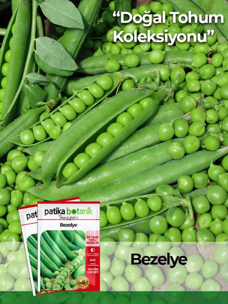 50 Adet Taze Bezelye Tohumu (UTRİLLO, ARAKA)