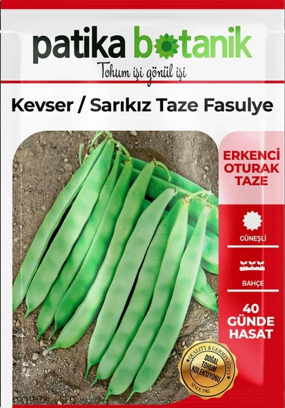 50 Adet Kevser (Sarı Kız) Fasulye Tohumu - Resim 2