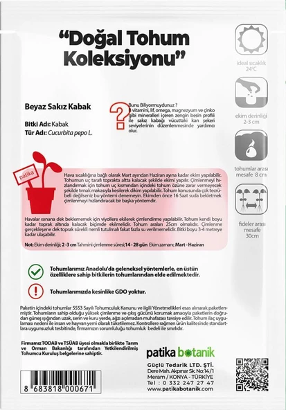 25 Adet Beyaz Sakız Kabak Tohumu - Resim 3