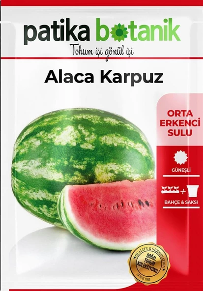 100 Adet Alaca Karpuz Tohumu - Resim 2