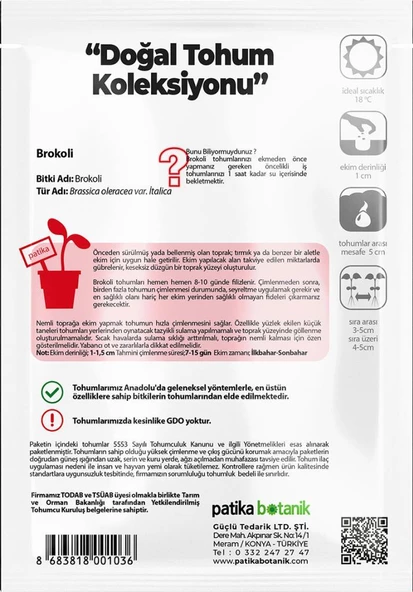 240 Adet Yerli Ata Brokoli Tohumu - 3