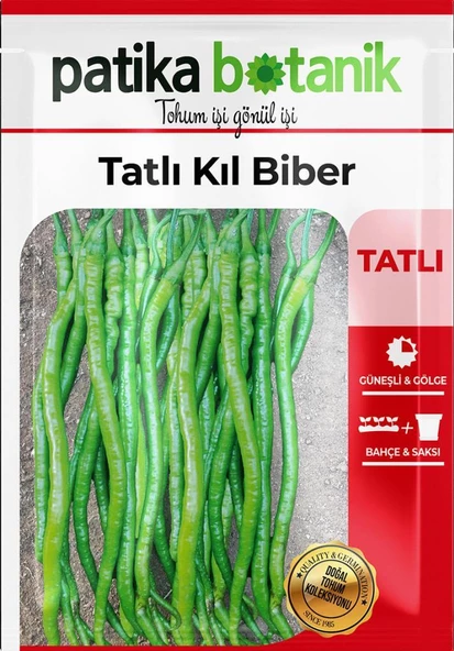 150 Adet Yerli Ata Tatlı Kıl Biber Tohumu - Resim 2